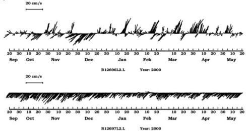 Bashi Channel bottom currents